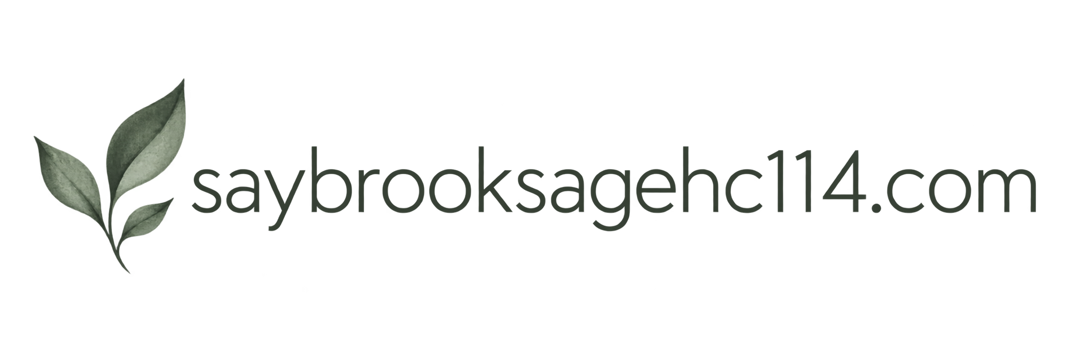 saybrooksagehc114.com